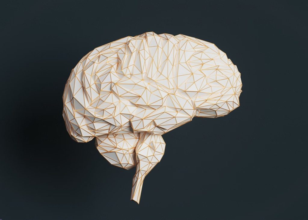Illustration of the brain, which is responsible for willpower and discipline.